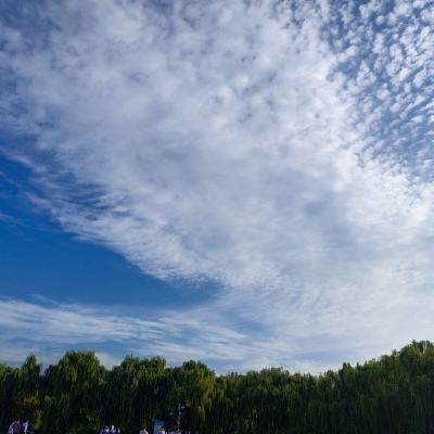 虚拟国度正版下载