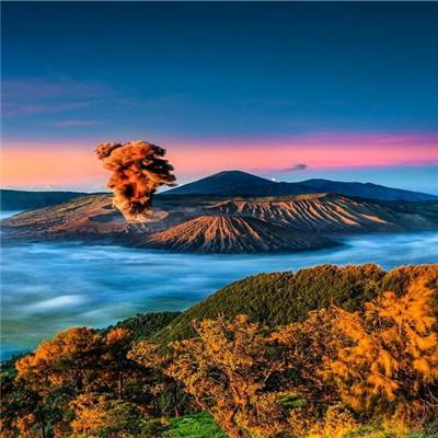 天才宝宝学前启蒙app免费下载